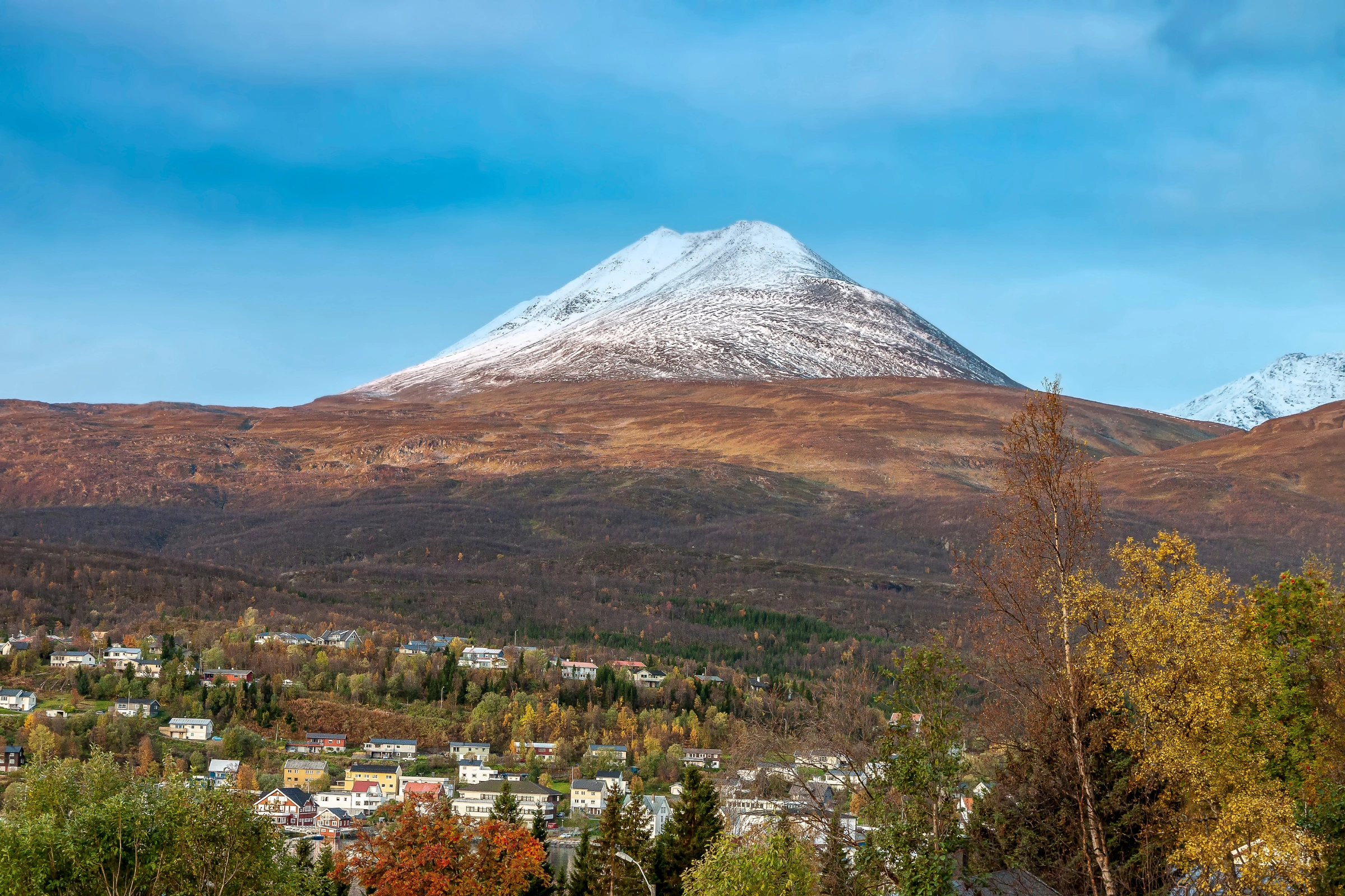 Lyngseidet[1].webp